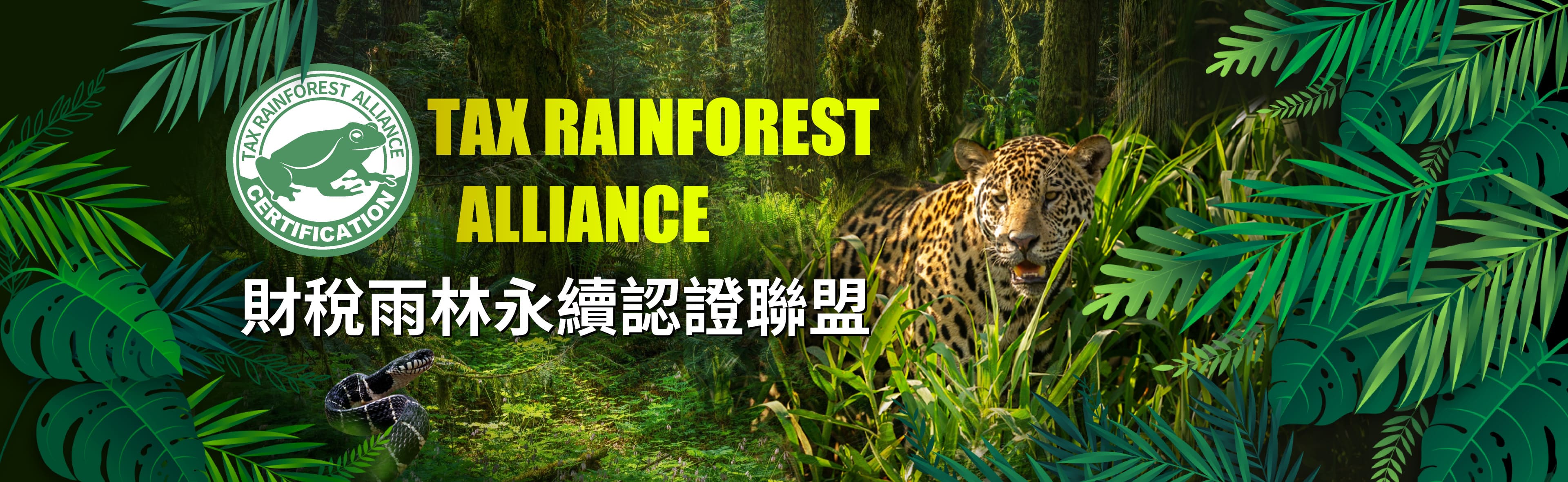 12.智安財稅雨林永續認證